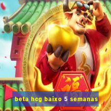 beta hcg baixo 5 semanas